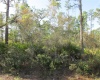 413 BOUGAINVILLEA, INDIAN LAKE ESTATES, Florida 33855, ,Land,For Sale,BOUGAINVILLEA,K4901697