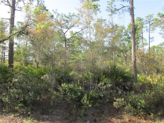 413 BOUGAINVILLEA, INDIAN LAKE ESTATES, Florida 33855, ,Land,For Sale,BOUGAINVILLEA,K4901697