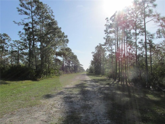 413 BOUGAINVILLEA, INDIAN LAKE ESTATES, Florida 33855, ,Land,For Sale,BOUGAINVILLEA,K4901697