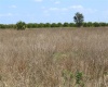 SCENIC HIGHWAY, HAINES CITY, Florida 33844, ,Land,For Sale,SCENIC,L4928787