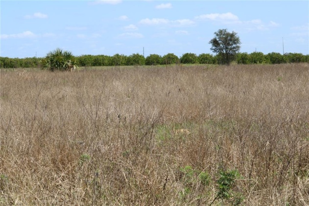 SCENIC HIGHWAY, HAINES CITY, Florida 33844, ,Land,For Sale,SCENIC,L4928787