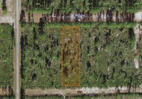 INDIAN LAKE DRIVE, INDIAN LAKE ESTATES, Florida 33855, ,Land,For Sale,INDIAN LAKE,P4920018