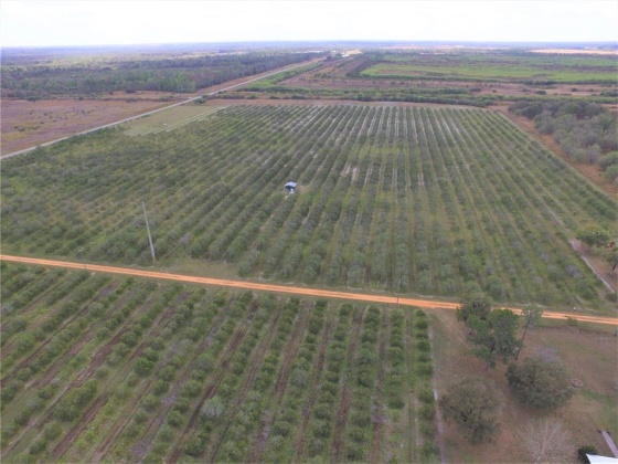 DAVIS ROAD, FORT MEADE, Florida 33841, ,Land,For Sale,DAVIS,B4900973