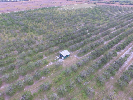 DAVIS ROAD, FORT MEADE, Florida 33841, ,Land,For Sale,DAVIS,B4900973