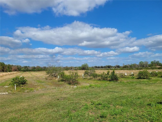 DAVIS ROAD, FORT MEADE, Florida 33841, ,Land,For Sale,DAVIS,B4900973