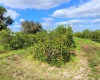 DAVIS ROAD, FORT MEADE, Florida 33841, ,Land,For Sale,DAVIS,B4900973