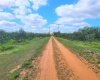 DAVIS ROAD, FORT MEADE, Florida 33841, ,Land,For Sale,DAVIS,B4900973