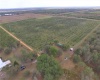 DAVIS ROAD, FORT MEADE, Florida 33841, ,Land,For Sale,DAVIS,B4900973