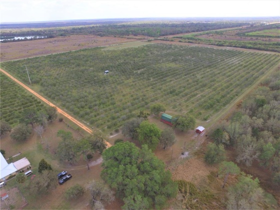 DAVIS ROAD, FORT MEADE, Florida 33841, ,Land,For Sale,DAVIS,B4900973