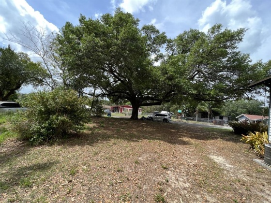 615 ALTA VISTA STREET, LAKE WALES, Florida 33853, 3 Bedrooms Bedrooms, ,1 BathroomBathrooms,Residential,For Sale,ALTA VISTA,P4920030