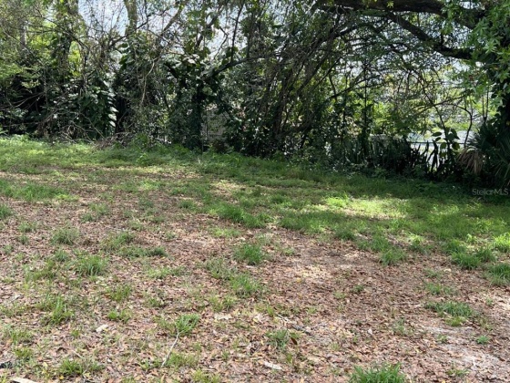 615 ALTA VISTA STREET, LAKE WALES, Florida 33853, 3 Bedrooms Bedrooms, ,1 BathroomBathrooms,Residential,For Sale,ALTA VISTA,P4920030