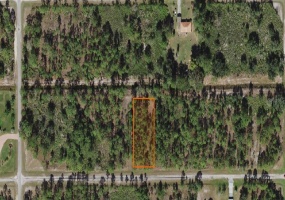 0 PLUMOSA DR, INDIAN LAKE ESTATES, Florida 33855, ,Land,For Sale,PLUMOSA DR,P4920031