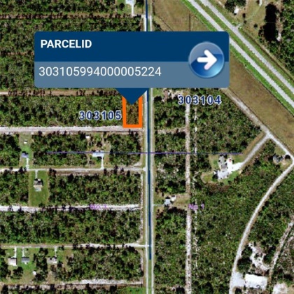 1 BOUGAINVILLEA DRIVE, INDIAN LAKE ESTATES, Florida 33855, ,Land,For Sale,BOUGAINVILLEA,O6012876