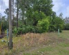 1305 NELSON PARK COURT, POINCIANA, Florida 34759, ,Land,For Sale,NELSON PARK,O6013134