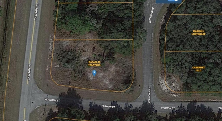 1202 VERNON WAY, POINCIANA, Florida 34759, ,Land,For Sale,VERNON,O6013178