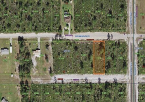 805 BOUGAINVILLEA, INDIAN LAKE ESTATES, Florida 33855, ,Land,For Sale,BOUGAINVILLEA,P4920064